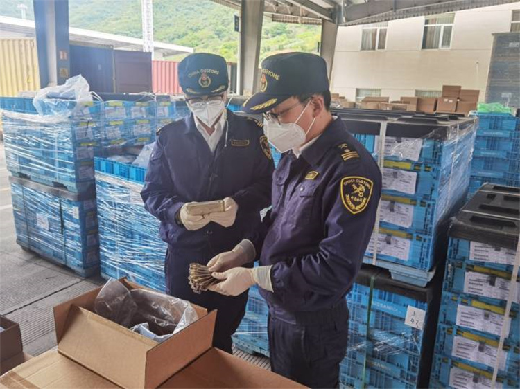 Сприяти зовнішній торгівлі для забезпечення стабільності та підвищення якості Митниця Нінбо випустила 20 «основних» заходів